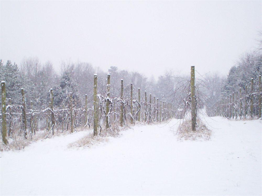 High Meadows Vineyard Inn Scottsville Buitenkant foto