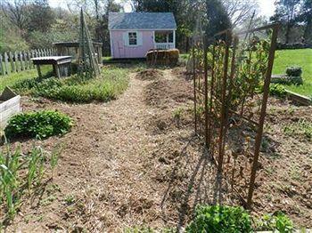 High Meadows Vineyard Inn Scottsville Buitenkant foto